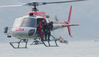 Illustration for article titled Helicopter Dogs